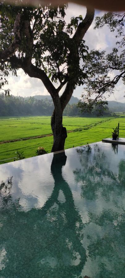Villa Seven Faces-Luxury Escape,Stunning Views With Private Pool For A Couple Or Family! Galle Dış mekan fotoğraf